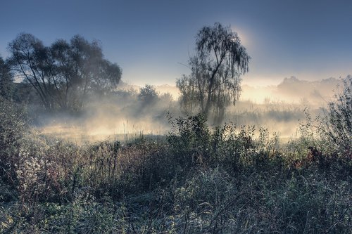 Fog at sunrise. by Valerix