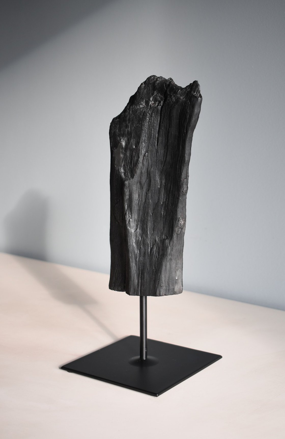 Untitled #1014 Burnt Wood Sculpture