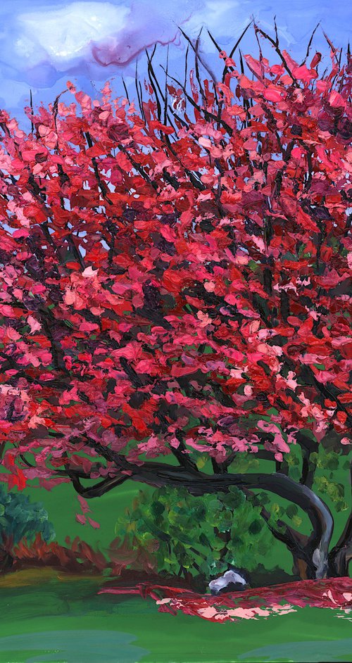 Pink Shrubs II by Christina M Plichta