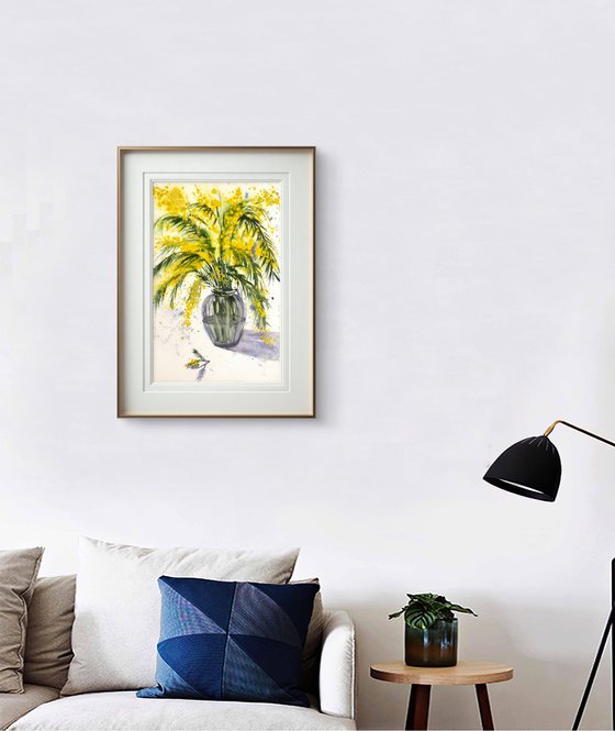 Mimosa branch Acacia Dealbata