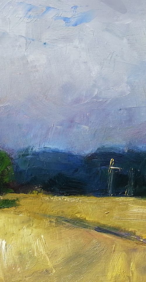 Cut Wheat Field by Andre Pallat