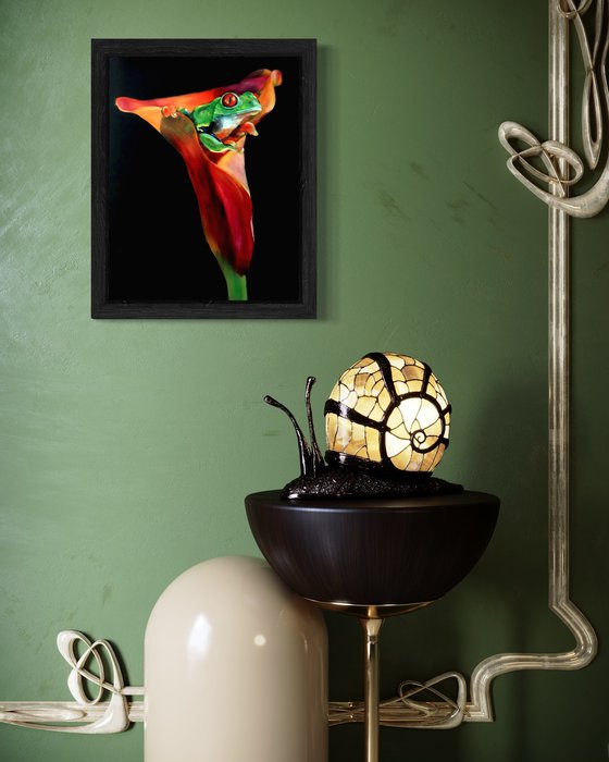 Treefrog in Calla Lily
