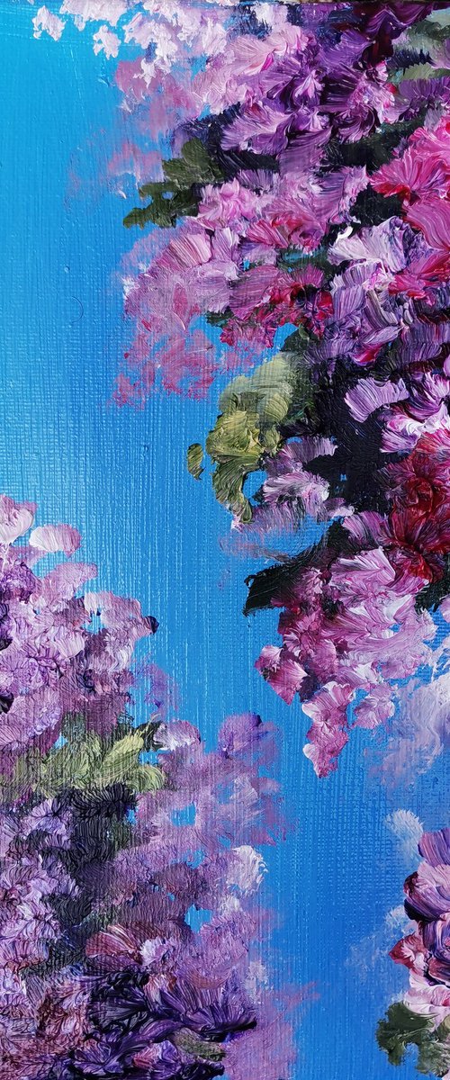 Purple bougainvillea by Oksana Siciliana