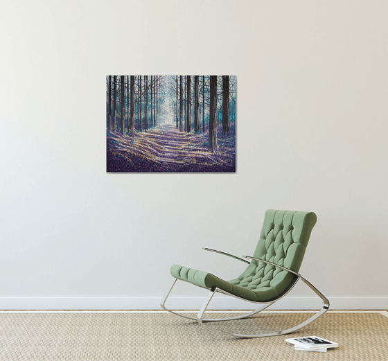 Light Through Winter Trees