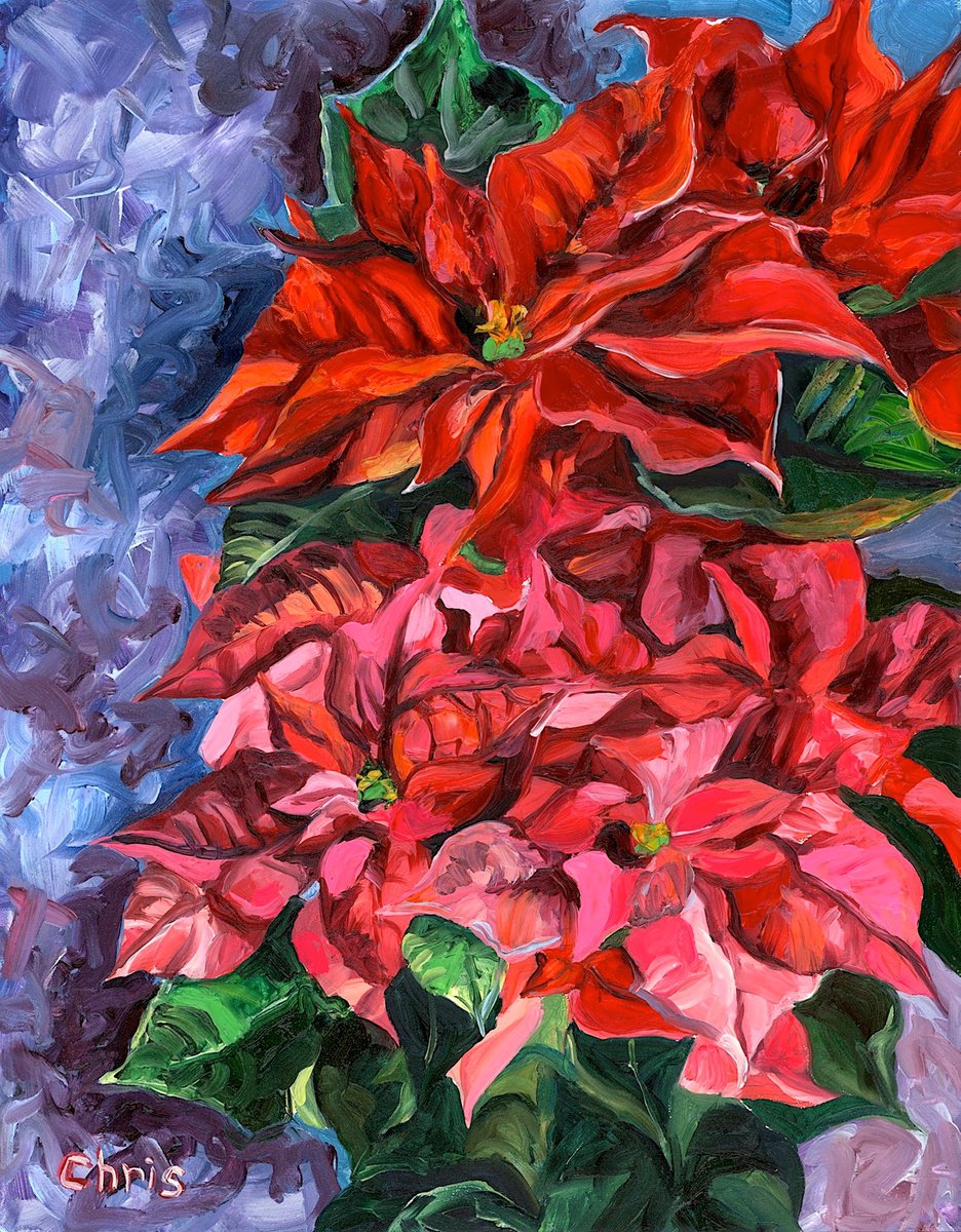 Illustrative Botanical Oil Painting By Christina M Plichta, 17 X 20, Pink & Red Poinsettia, Original Artwork