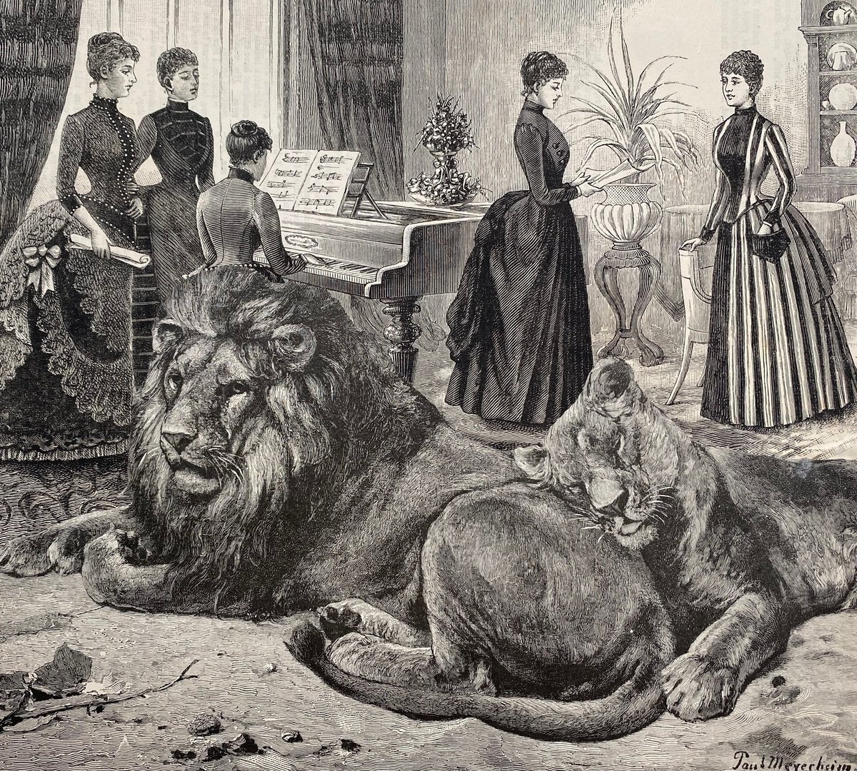 Surrealistic Collage , Lions Love Piano Music By Tudor Evans, 9 X 8, Artwork For Sale On Artfinder