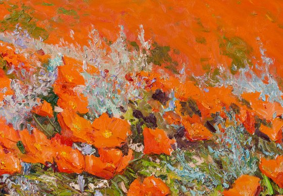Valley of Poppies, California
