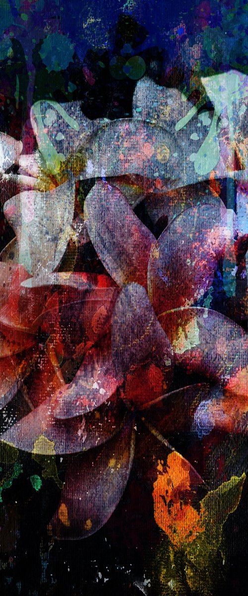 Abstract Plumeria Flowers by Alex Solodov