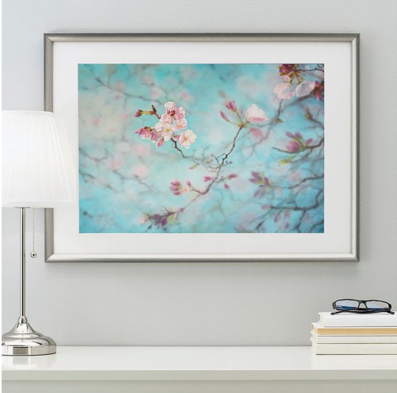 Cherry Blossoms -  Sakura - Cherry tree branch - Mother's day gift