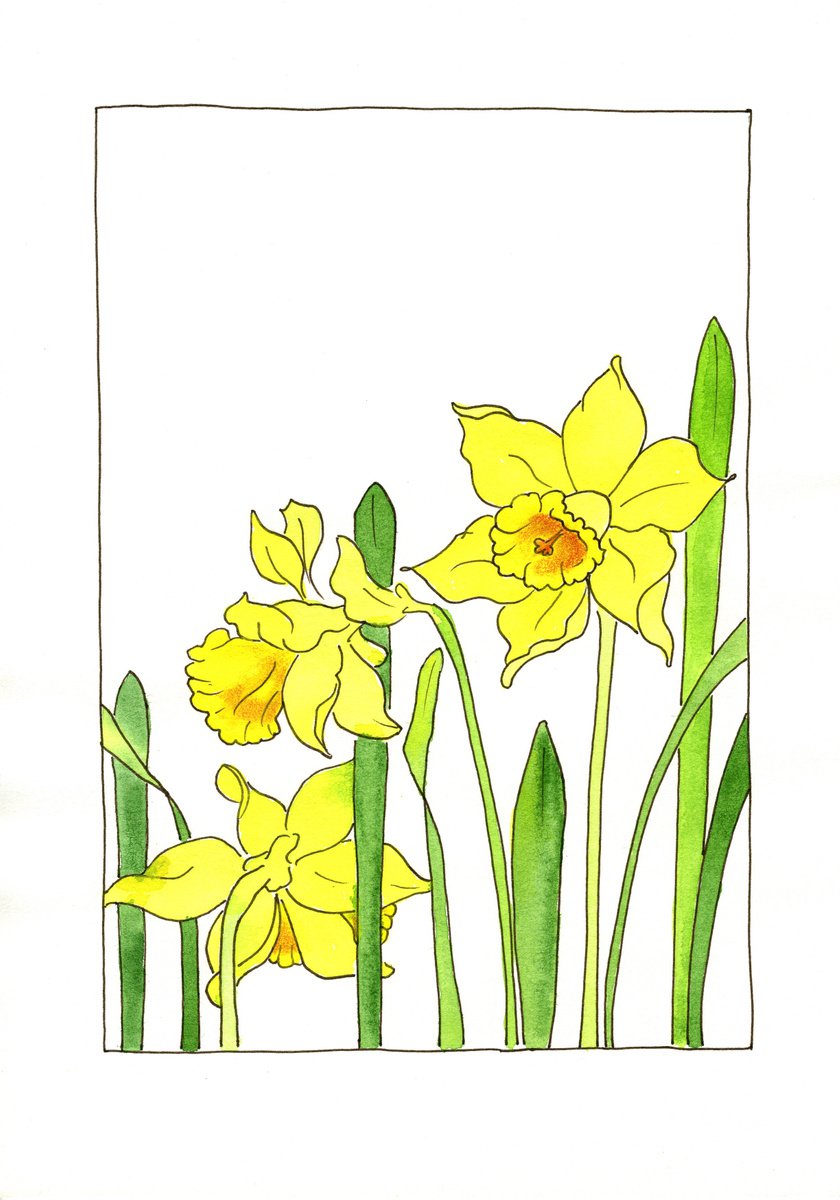 Yellow daffodils flowers mixed media illustration by Olga Ivanova