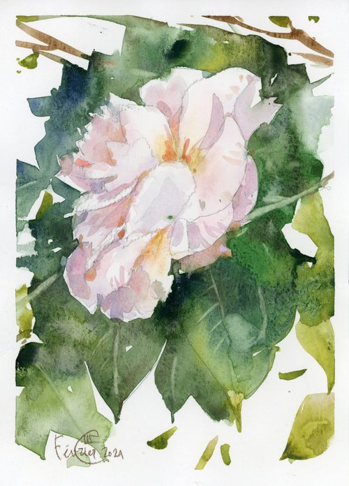 Camellia white by Tatyana Tokareva