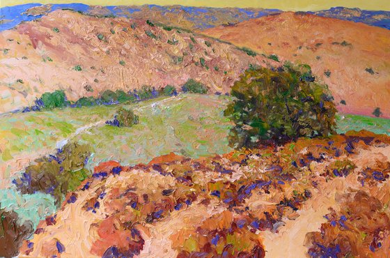 California Foothills. Summer