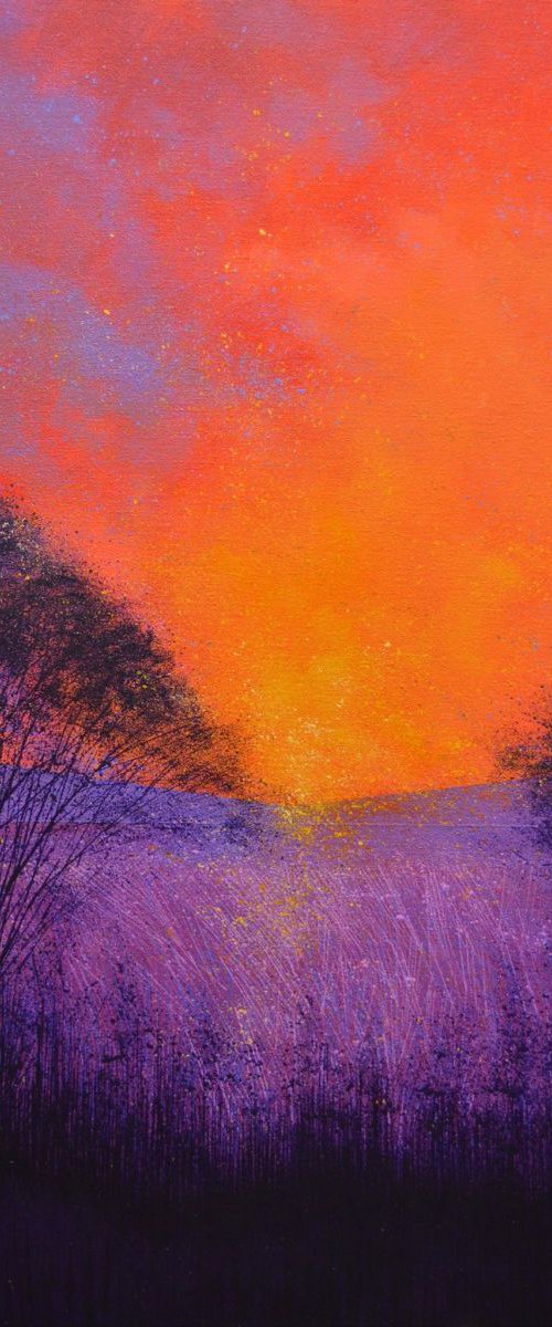 Red Sunset by Marc Todd
