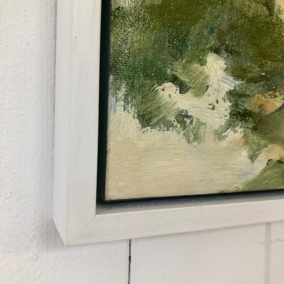 Morning Stroll