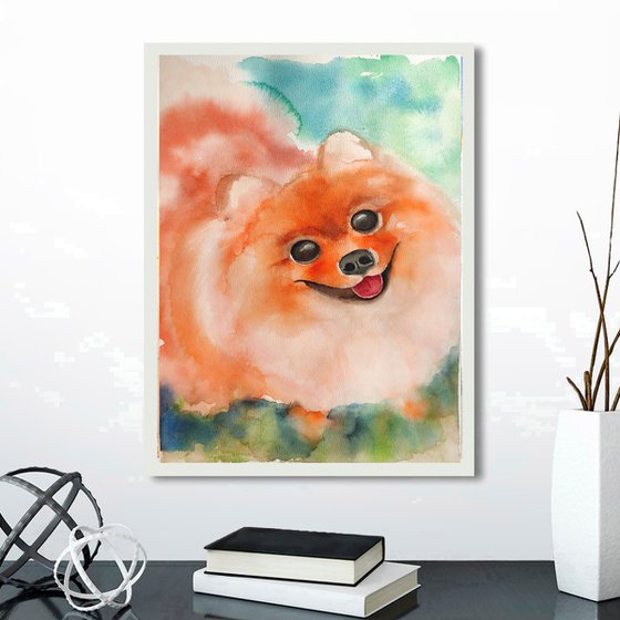 Pomeranian