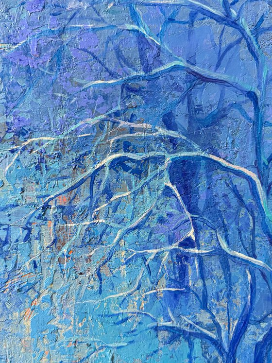 The Day the Apricot Trees Bloomed