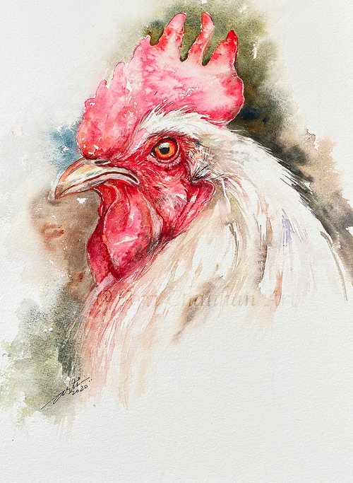 White Rooster Swayz by Arti Chauhan