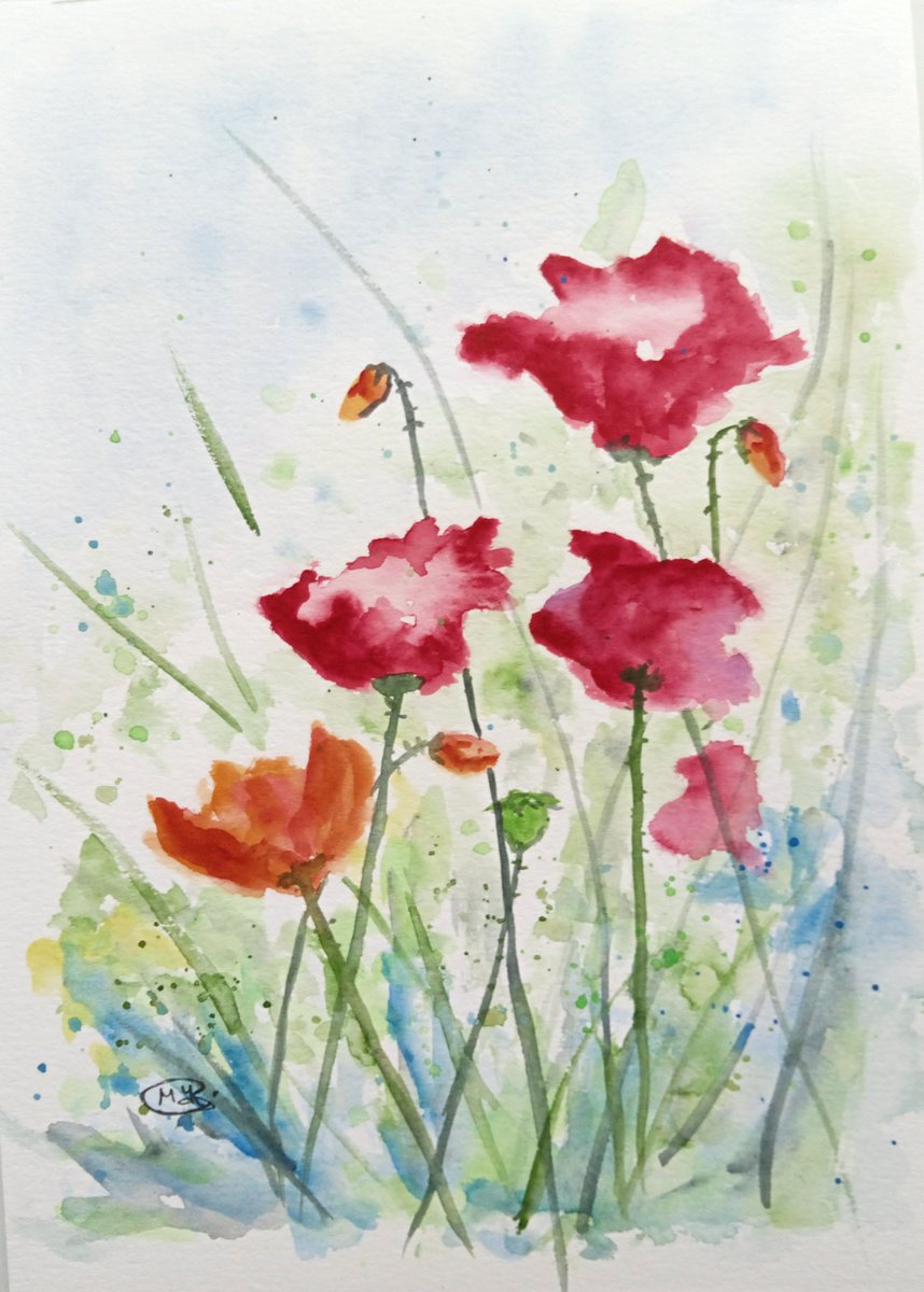 Poppy meadow by MARJANSART