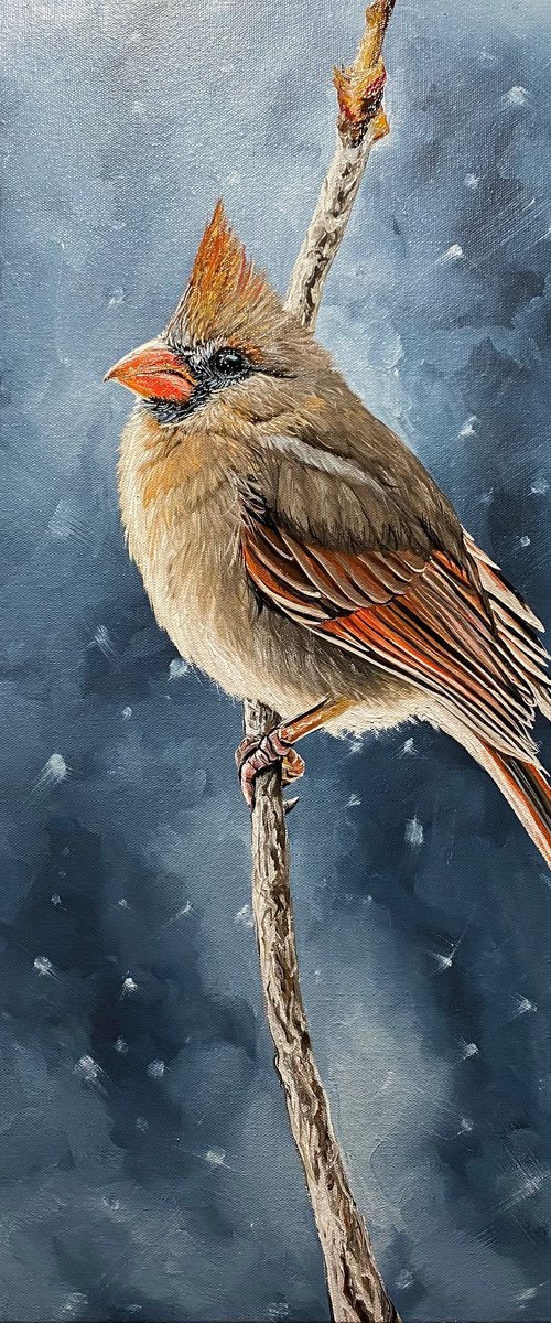 Winter morning ( Cardinal bird) by Elena Adele Dmitrenko