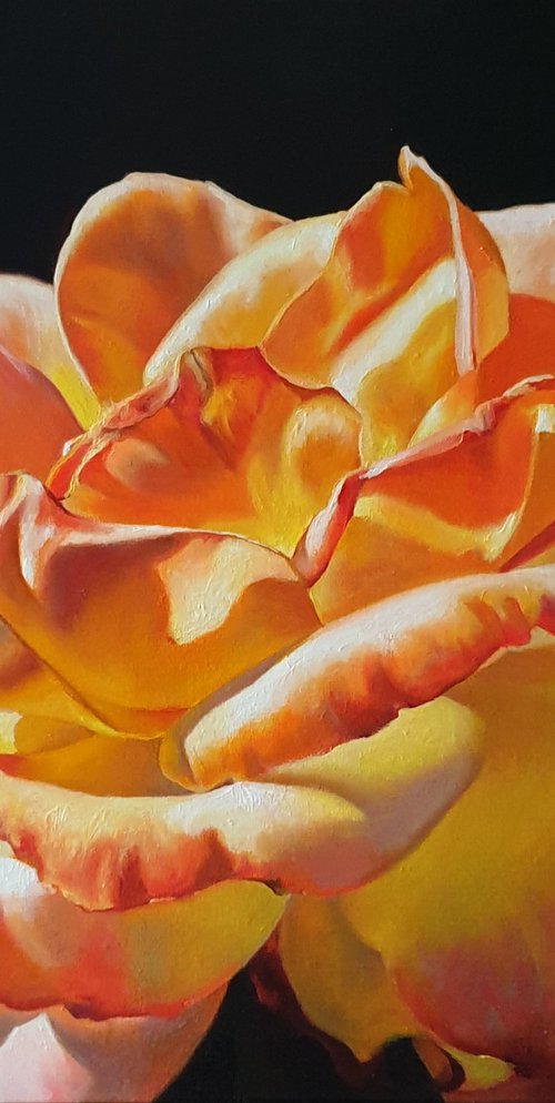 "Fire dance. . "  rose red flower  liGHt original painting  GIFT (2021) by Anna Bessonova (Kotelnik)
