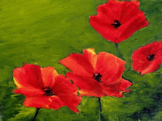 Poppies