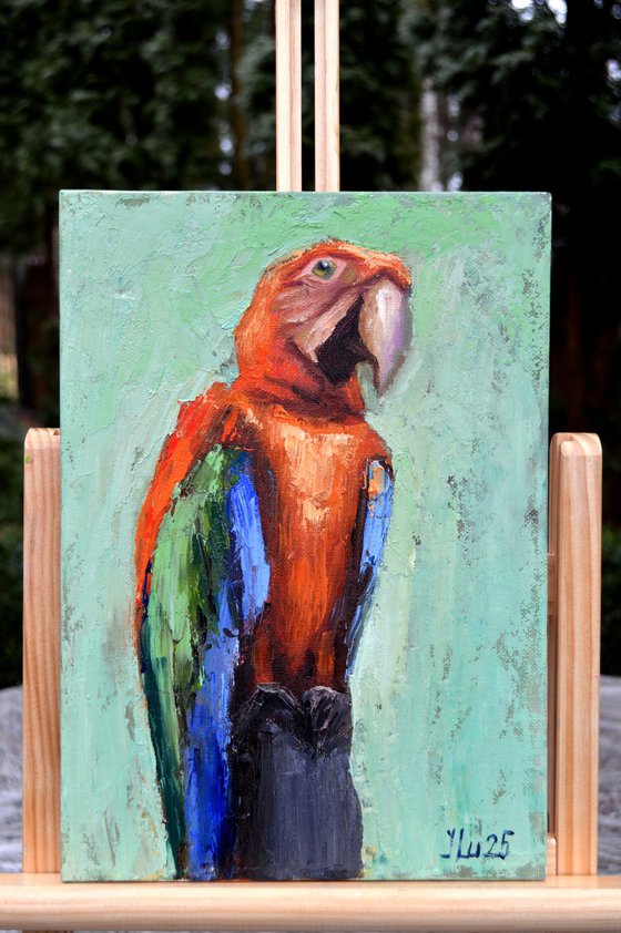 Macaw Parrot