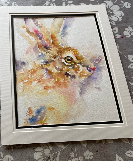 Honeycomb Hare