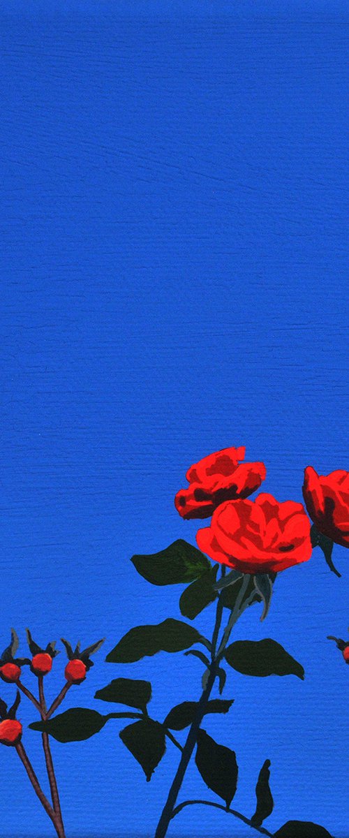 The Last of the Roses by Theresa Shaw