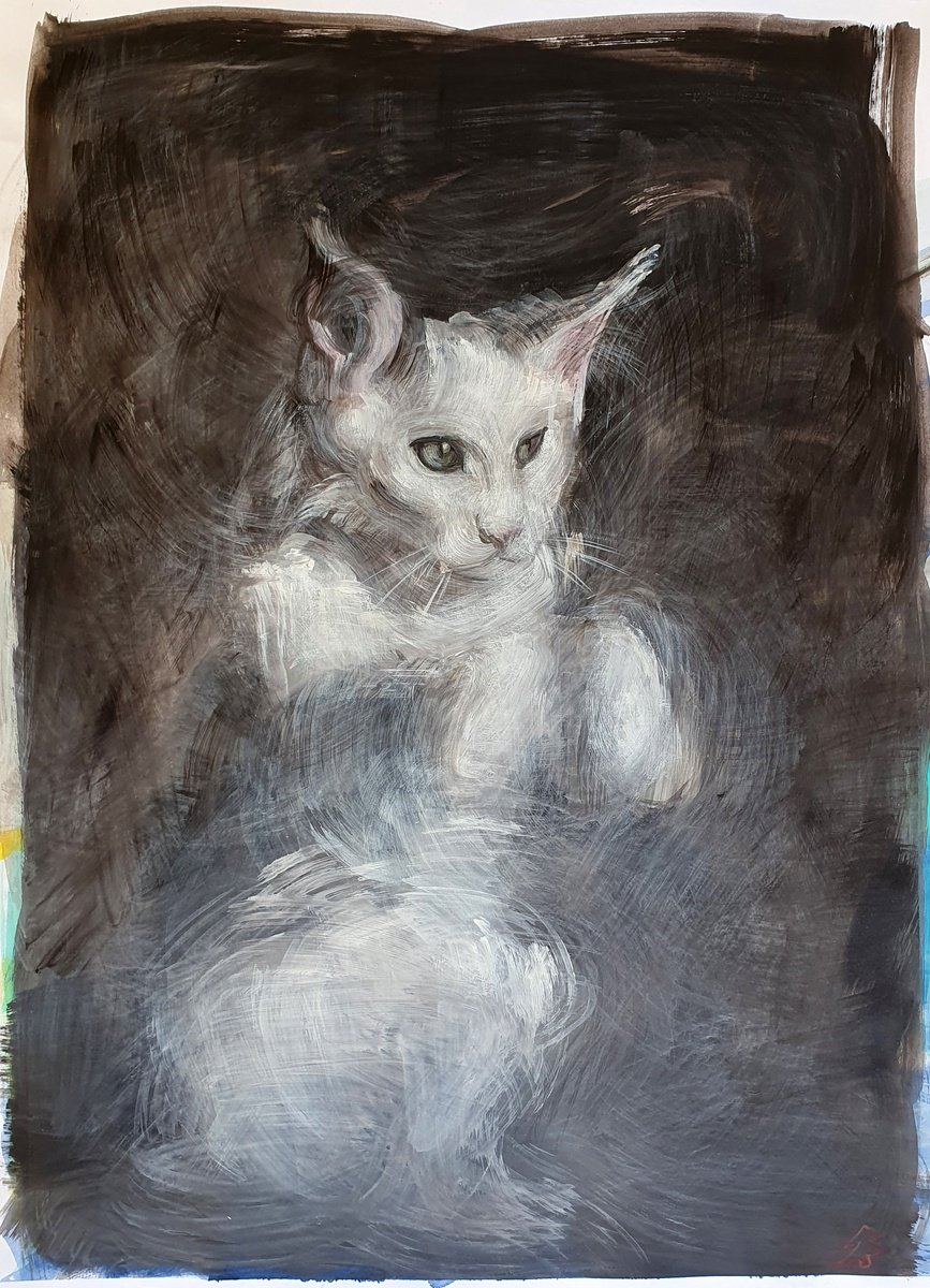 White cat by Egle Colucci