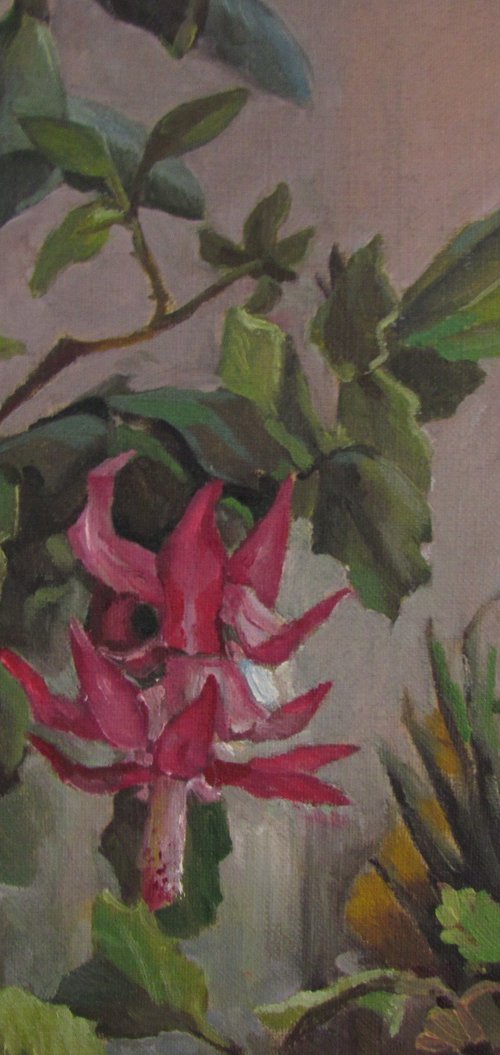 Christmas Cactus by Viktoriia Pidvarchan