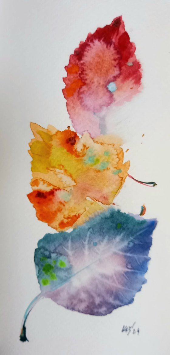 Autumn leaves