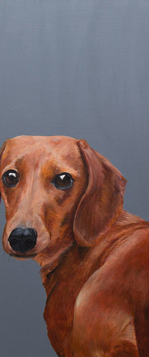What are you looking at? by Amy Devlin