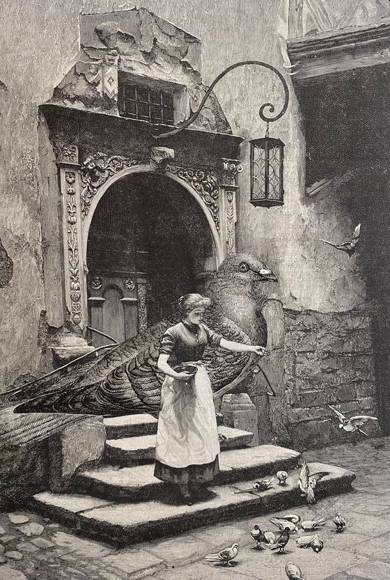 Roman Doves and Pigeon