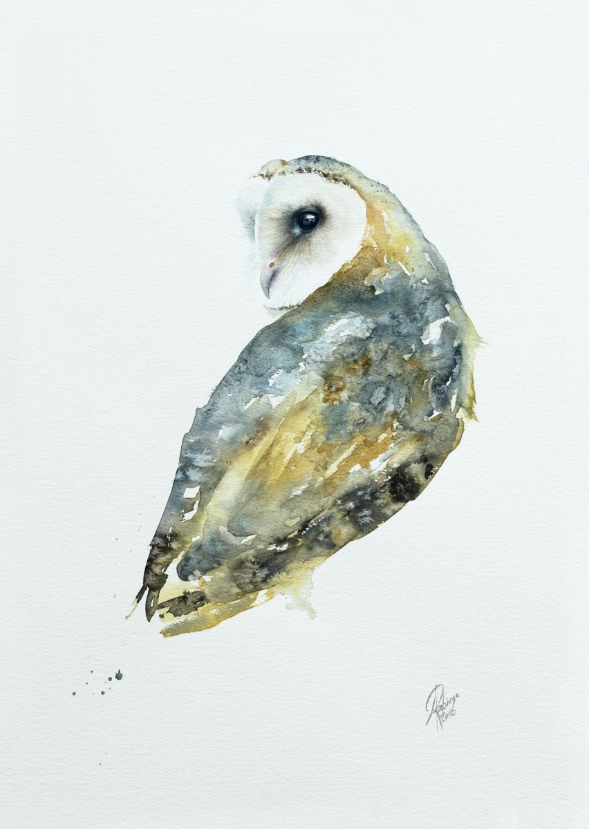 Illustrative Animal Watercolour By Andrzej Rabiega, 17 X 23, Barn Owl, Original Artwork