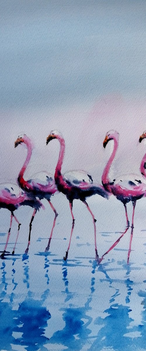 flamingos 4 by Giorgio Gosti