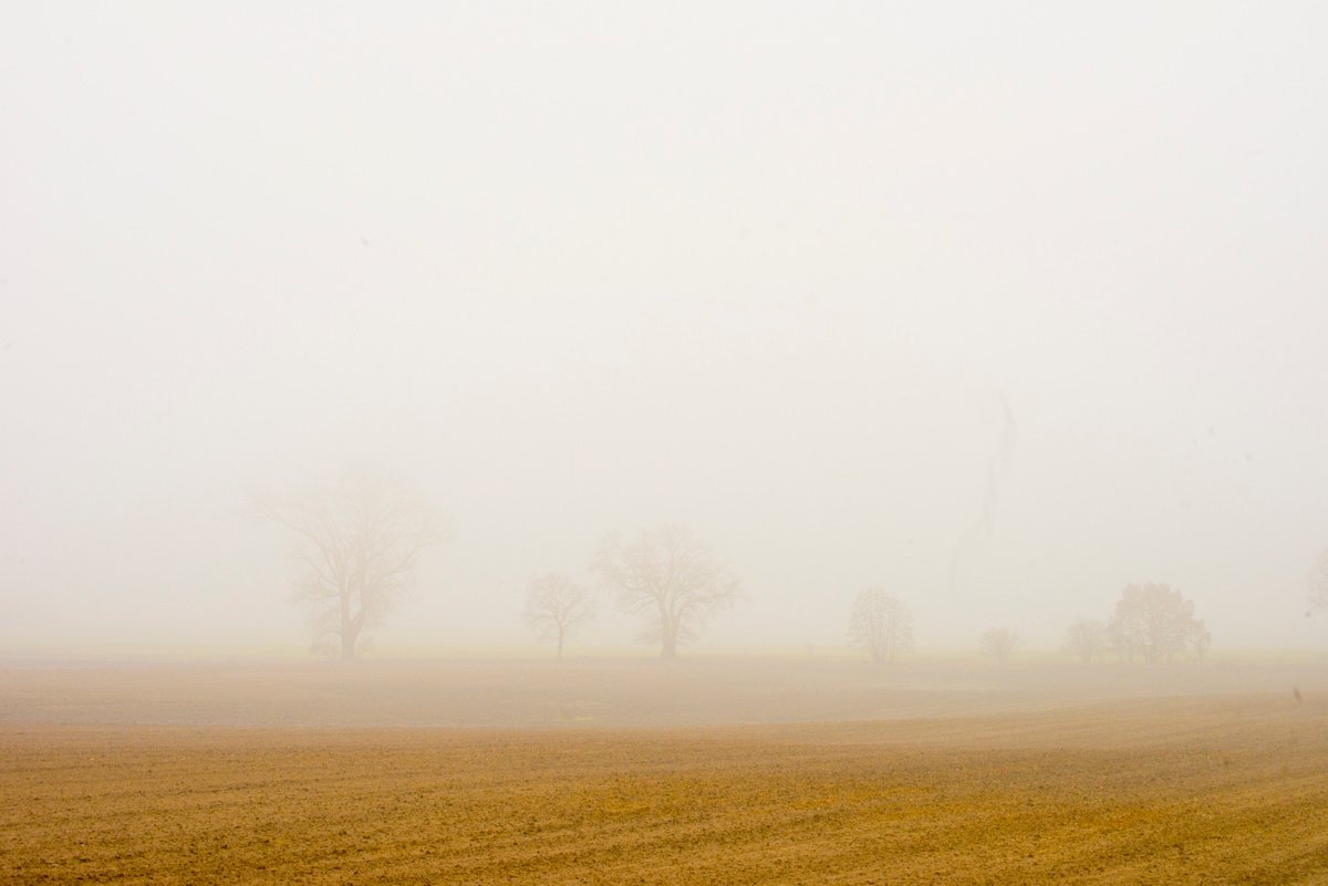 foggy landscape 4 by Jochim Lichtenberger