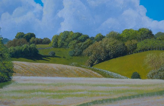 Rural Summer Landscape