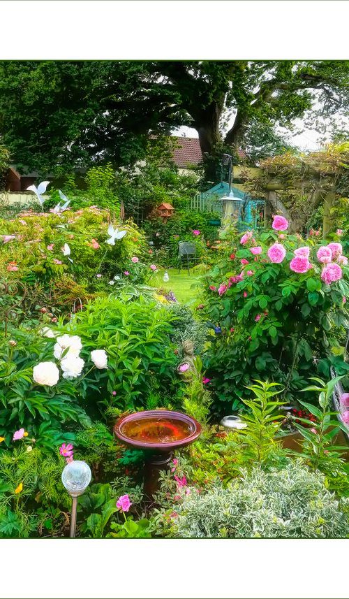 A Country Garden by Martin  Fry