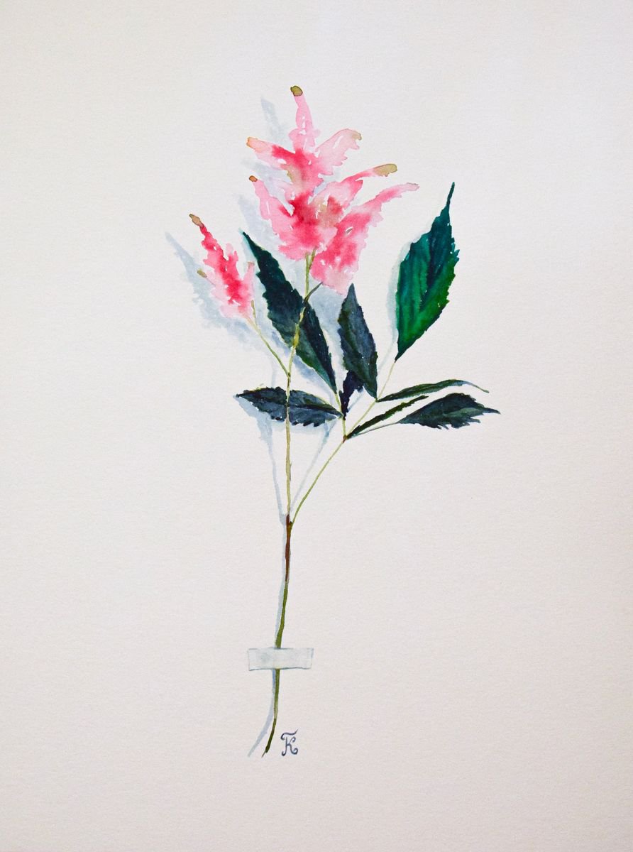 Botanical ORIGINAL watercolor painting, pink flower of mint, romantic gift for her by Kate Grishakova