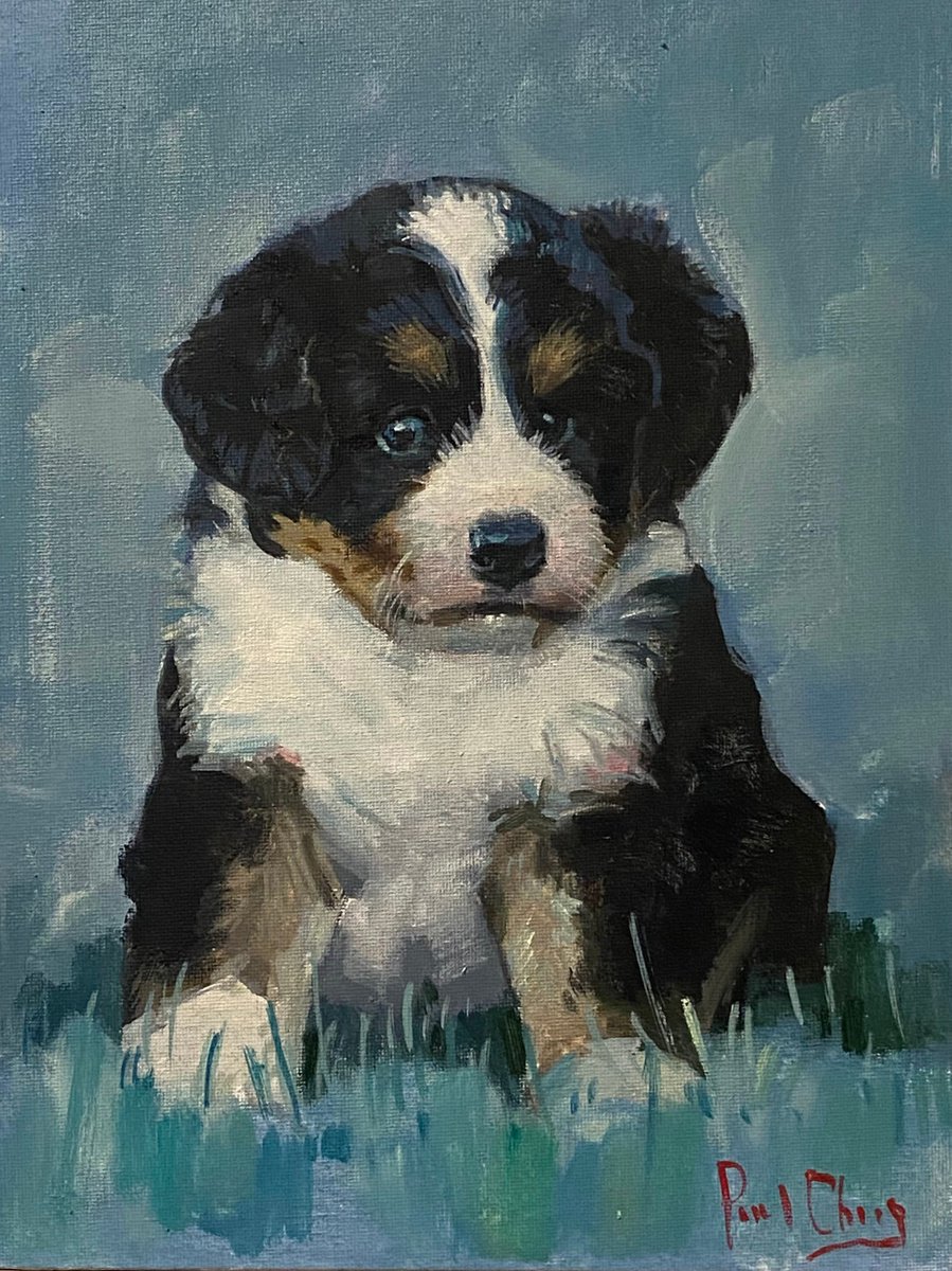 Impressionistic Animal Oil Painting By Paul Cheng, 9 X 12", Puppy Portrait, Original Artwork