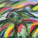 TROPICS. BIRD by Karakhan
