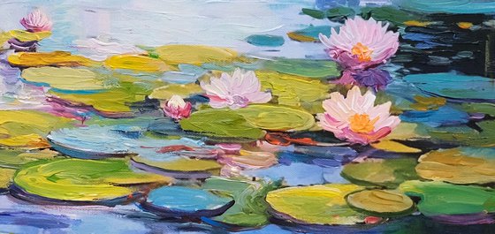 Morning Water Lily Pond