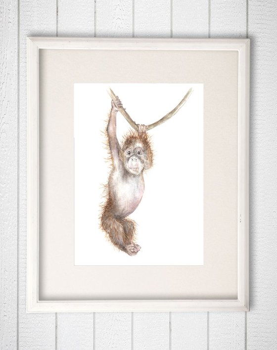 Orangutan Original Watercolor