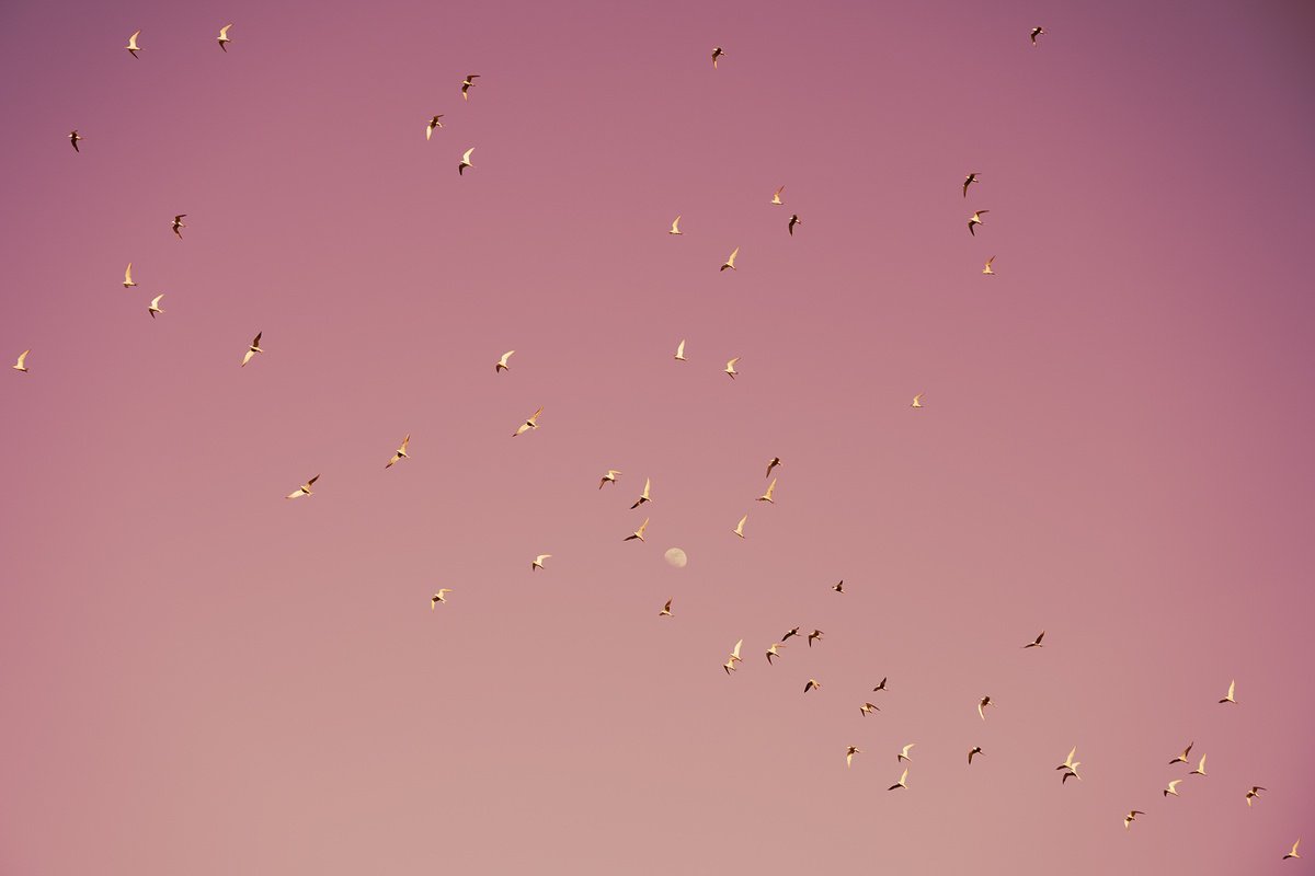 Landscape Photograph By Tal Paz-Fridman, 22 X 16", Gulf Of Eilat #2, Original Artwork