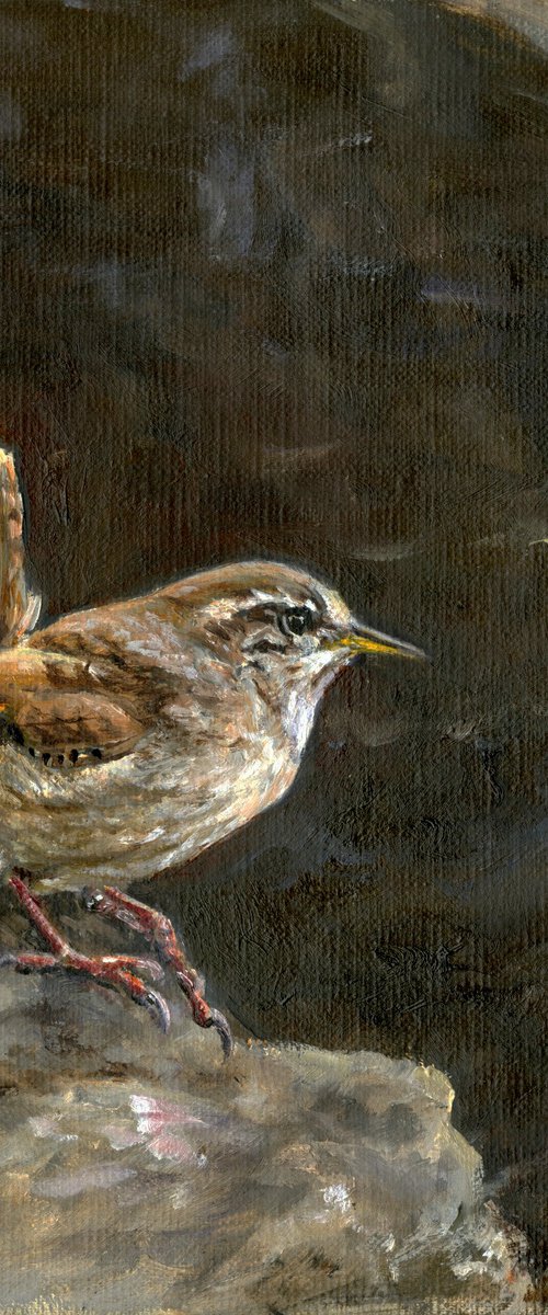 Wren in rocks by Una Hurst