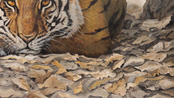 Woodland Bengal Tiger