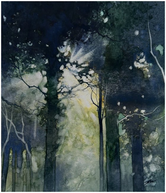 Forest Light in the Darkness