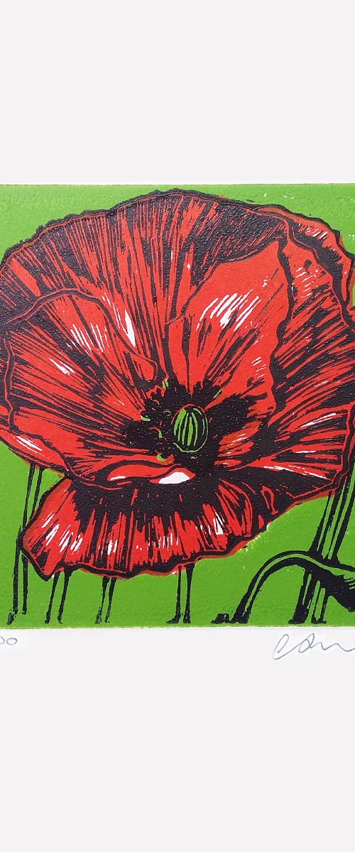 Poppy by Carolynne Coulson