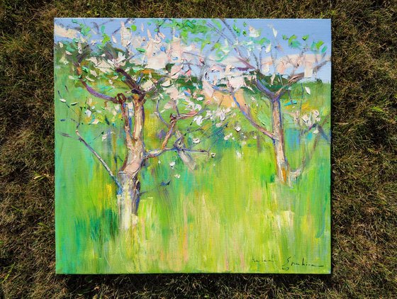 Apple tree blossoms in tall grass . 65x60 cm. Spring impressionistic oil painting .