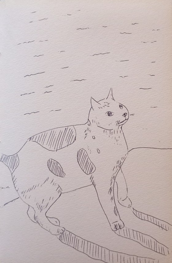 Cat by the Sea